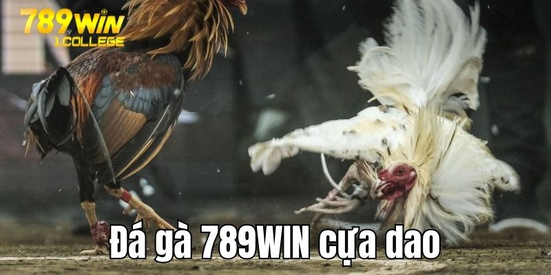 Khám phá hình thức đá gà cựa dao 789WIN