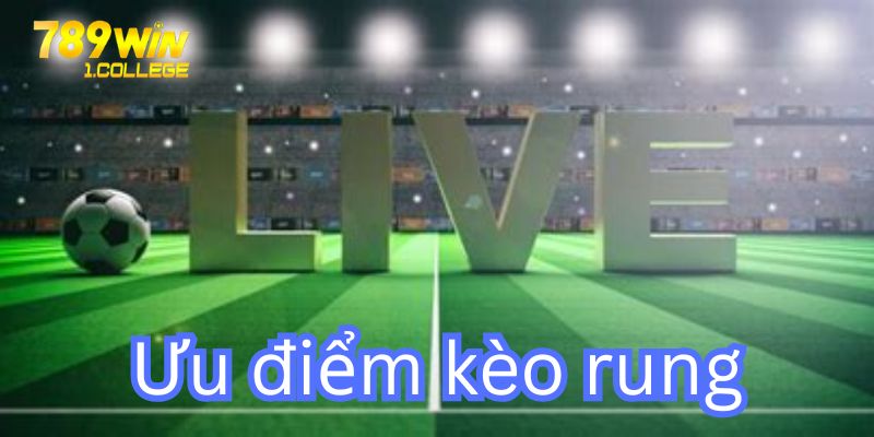 Những lợi ích khi bạn vào tiền kèo rung