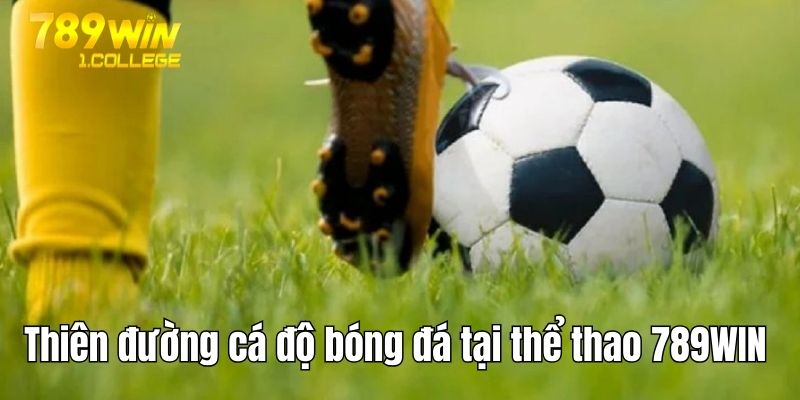 Khám phá thiên đường cá độ bóng đá trực tuyến 789WIN