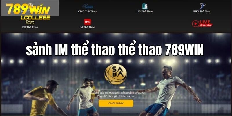Sảnh IM thể thao trực tuyến tại 789win.com