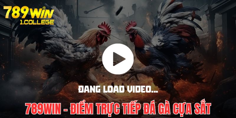 789 win cung cấp nhiều trận đấu với đồ họa cực bắt mắt