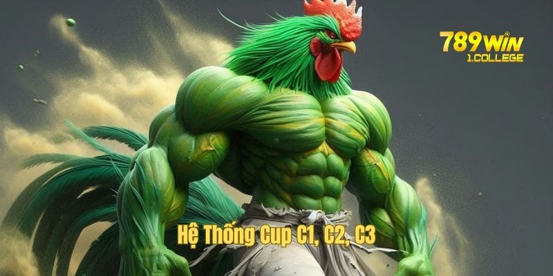 Vô số kèo cược và giải đấu lên mỗi ngày